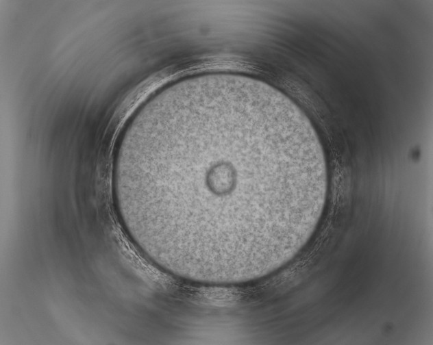 X0000116300836200912141333