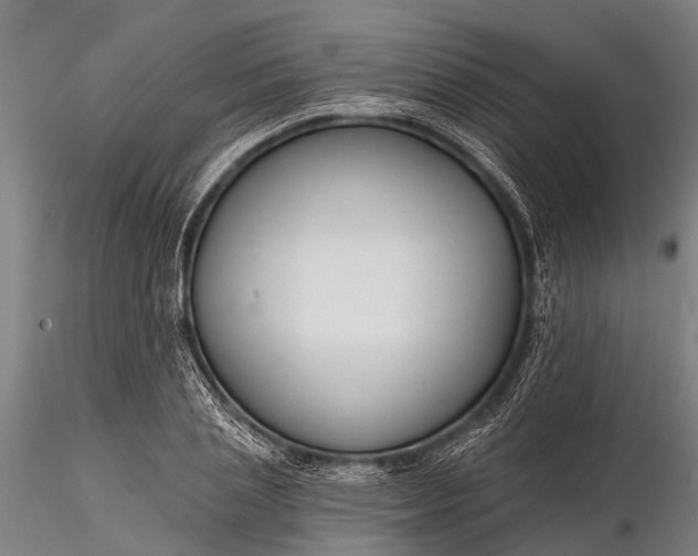 X0000116300837200912141333