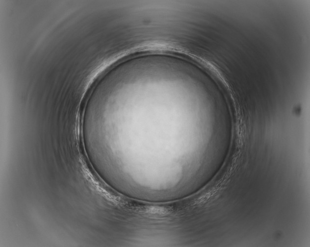 X0000116300839200912141333