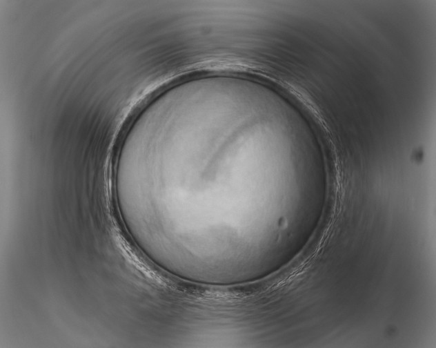 X0000116300840200912141333