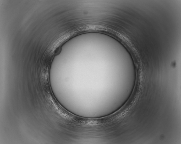 X0000116300841200912141333