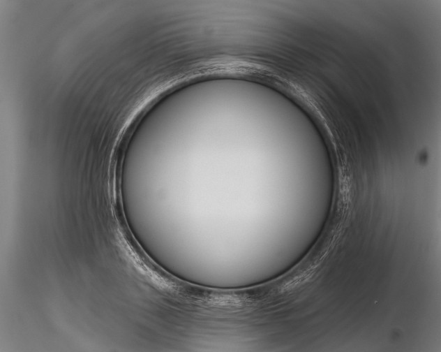 X0000116300843200912141333