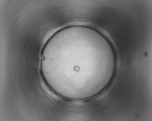 X0000116300844200912141333