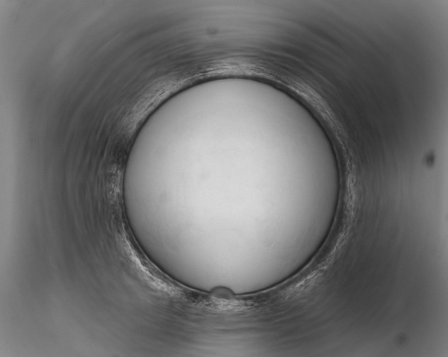 X0000116300849200912141333