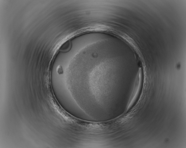 X0000116300850200912141333