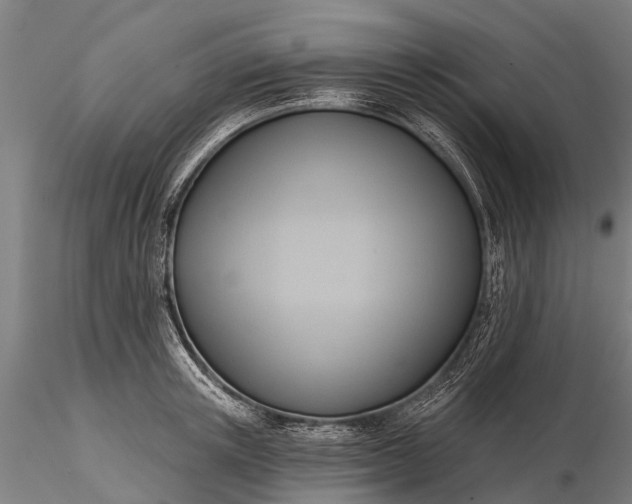 X0000116300851200912141333