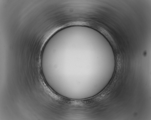 X0000116300852200912141333