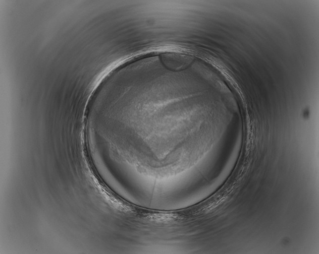 X0000116300853200912141333