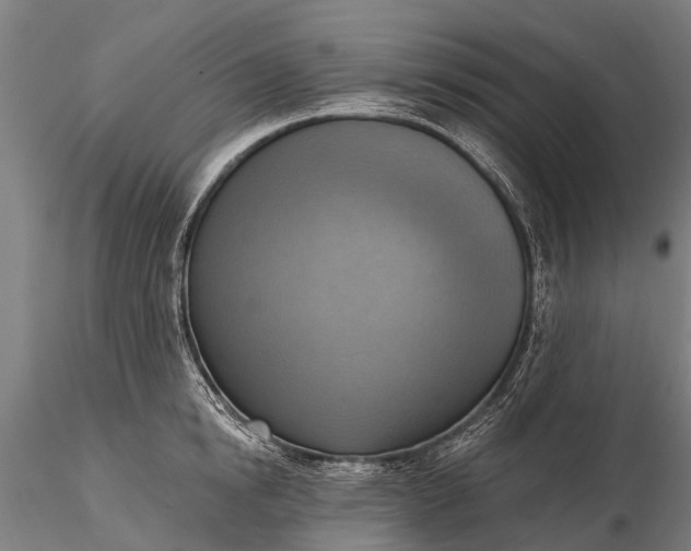 X0000116300854200912141333