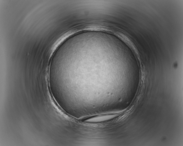 X0000116300855200912141333