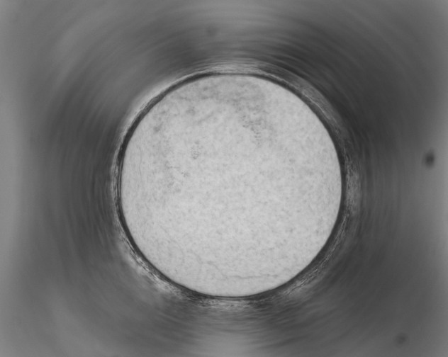 X0000116300856200912141333