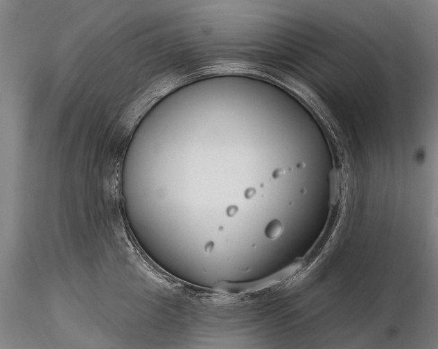 X0000116300857200912141333