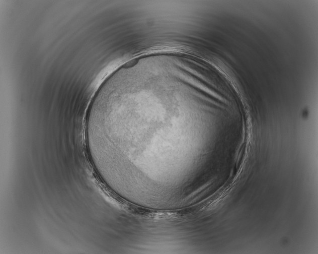 X0000116300858200912141333