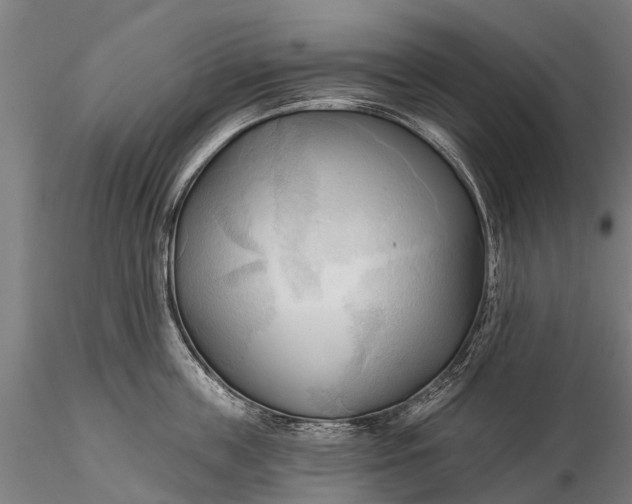 X0000116300859200912141333