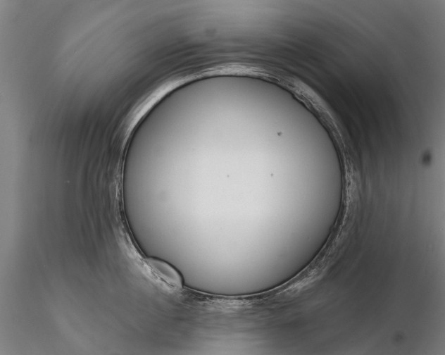 X0000116300860200912141333