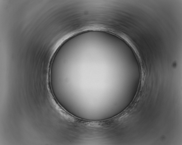 X0000116300861200912141333