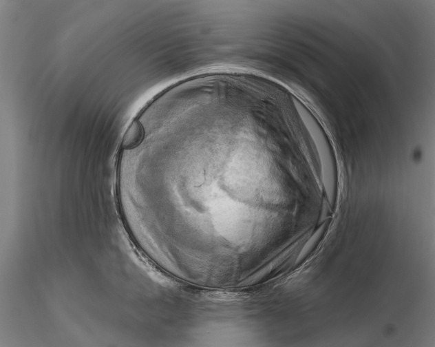 X0000116300862200912141333