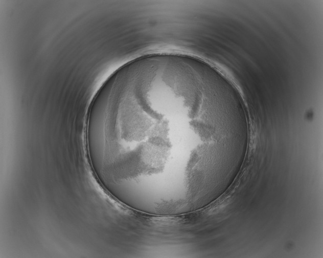 X0000116300863200912141333