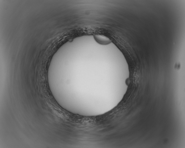 X0000116300865200912141333