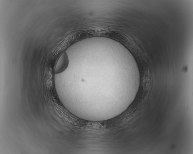 X0000116300866200912141333