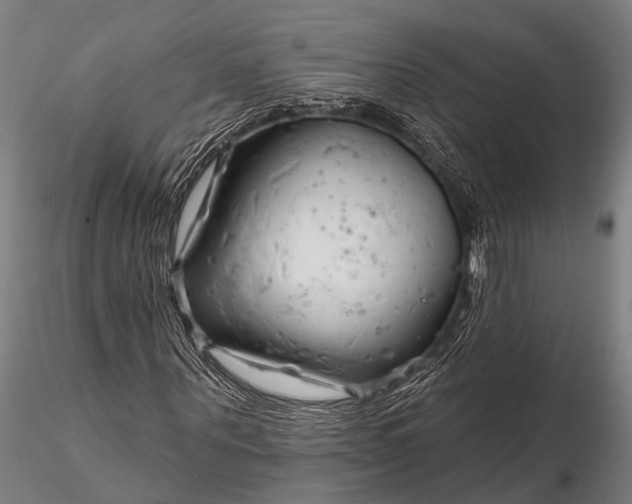 X0000116300867200912141333