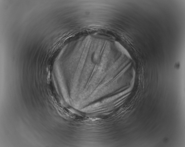 X0000116300868200912141333