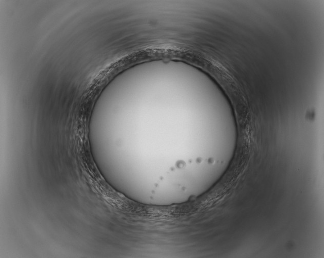 X0000116300870200912141333