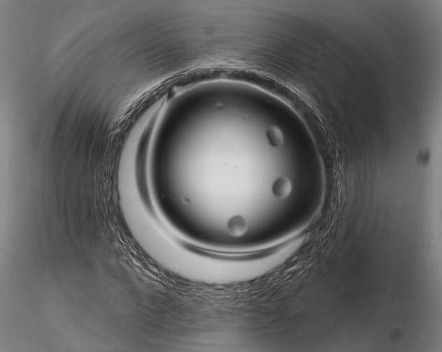 X0000116300872200912141333