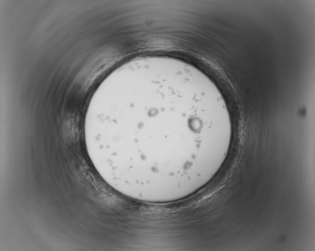 X0000116300873200912141333