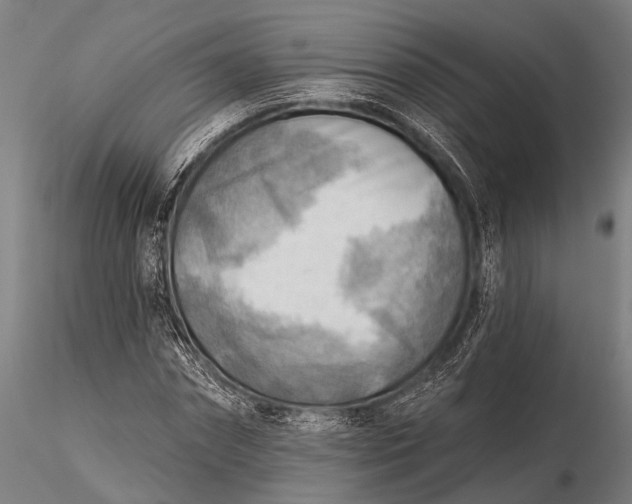 X0000116300874200912141332