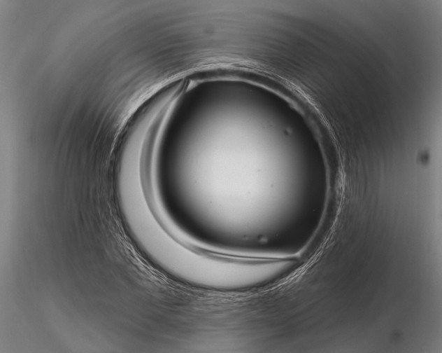 X0000116300877200912141332