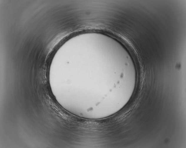 X0000116300878200912141332