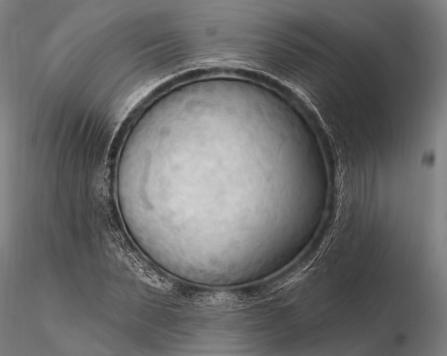 X0000116300879200912141332