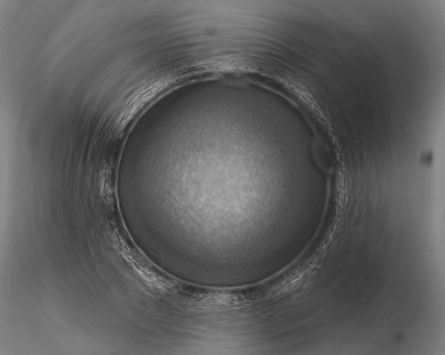 X0000116300881200912141332