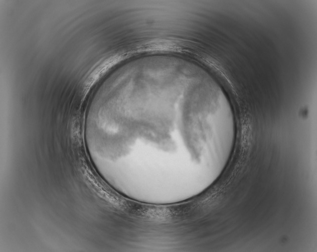 X0000116300882200912141332