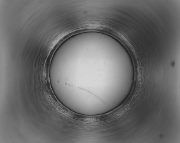 X0000116300883200912141332