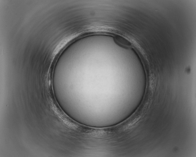 X0000116300885200912141332