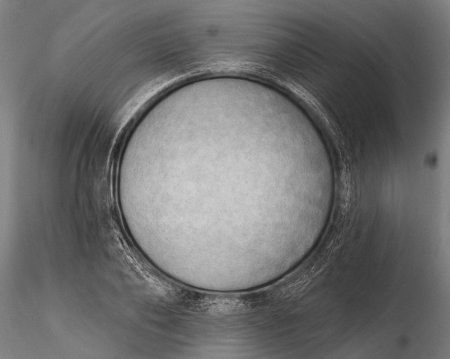 X0000116300886200912141332