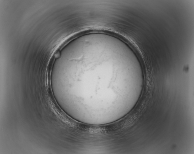 X0000116300887200912141332