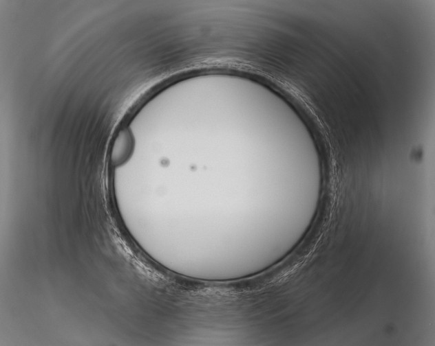 X0000116300888200912141332