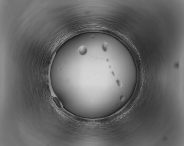 X0000116300889200912141332