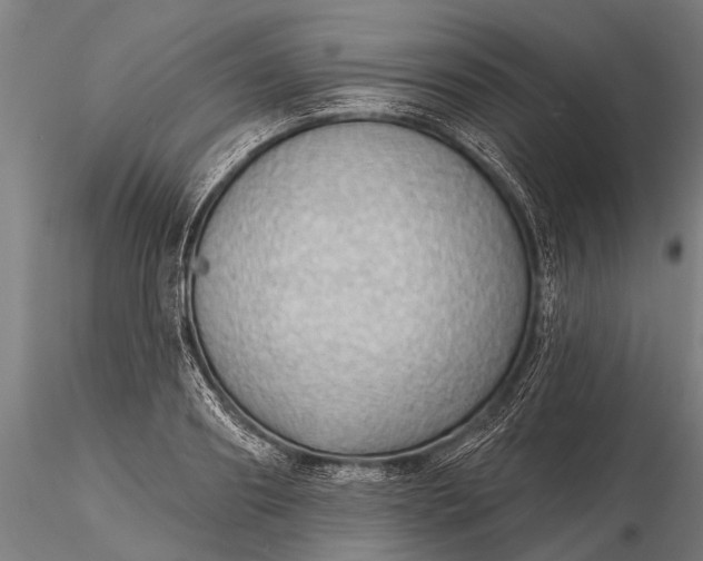 X0000116300890200912141332