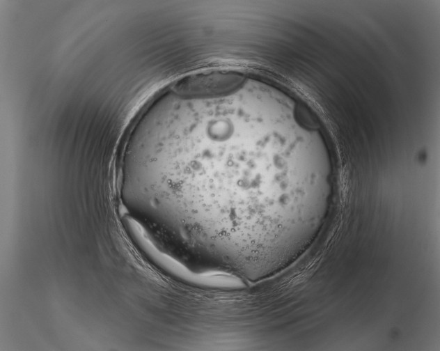 X0000116300891200912141332