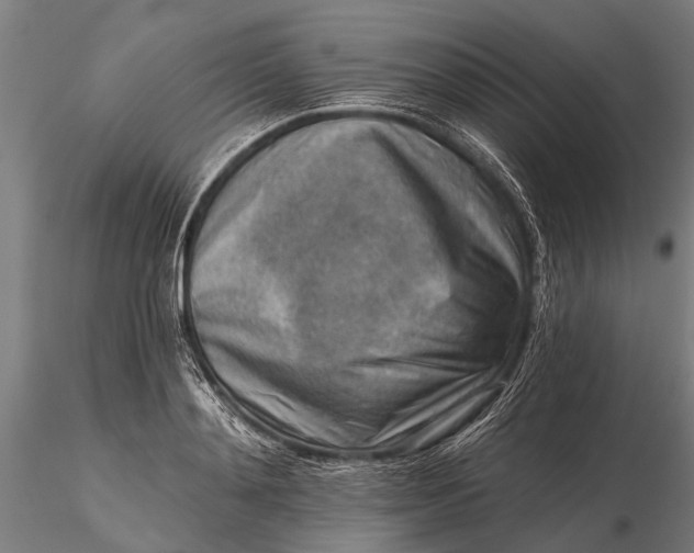 X0000116300892200912141332