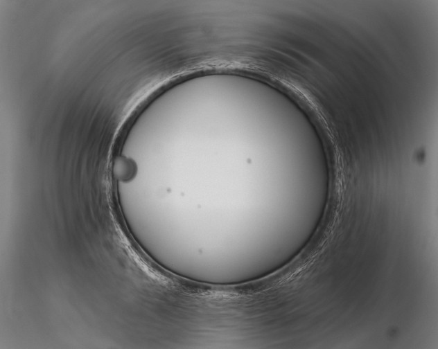 X0000116300894200912141332