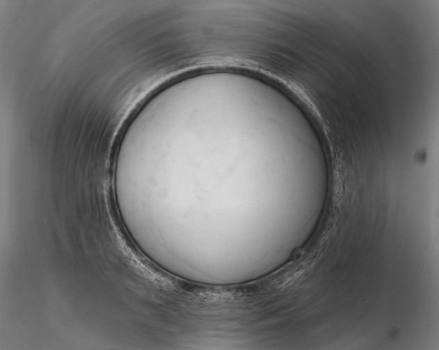 X0000116300895200912141332