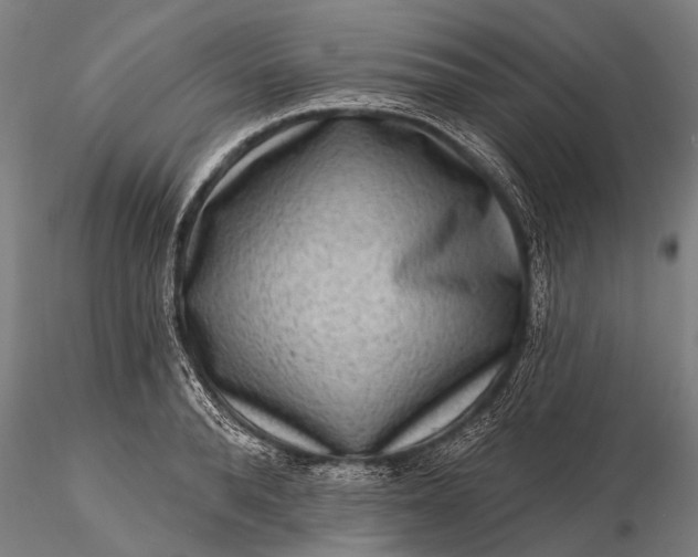 X0000116300896200912141332