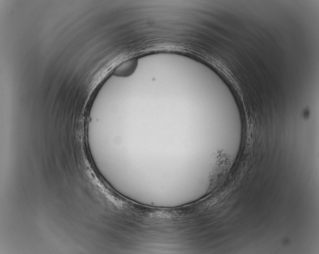 X0000116300898200912141332