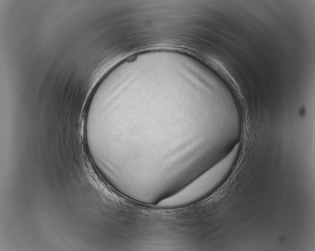 X0000116300900200912141332