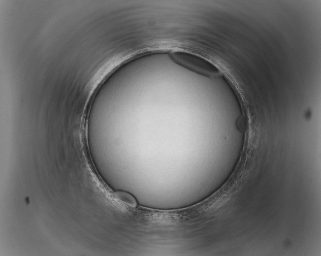 X0000116300901200912141332